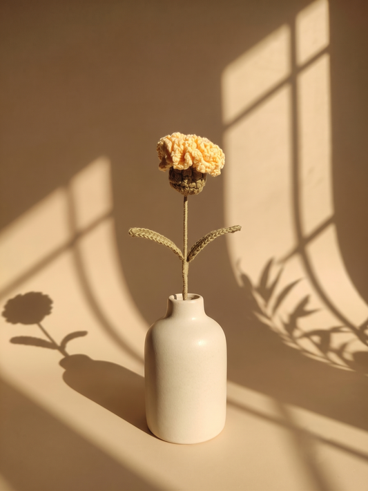 Little  Carnation