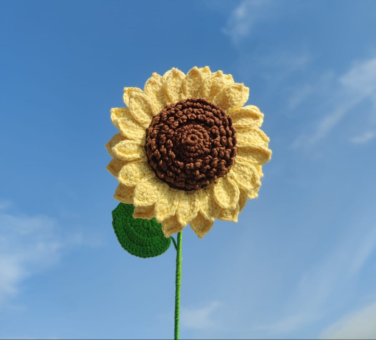 FOREVER SUNFLOWER