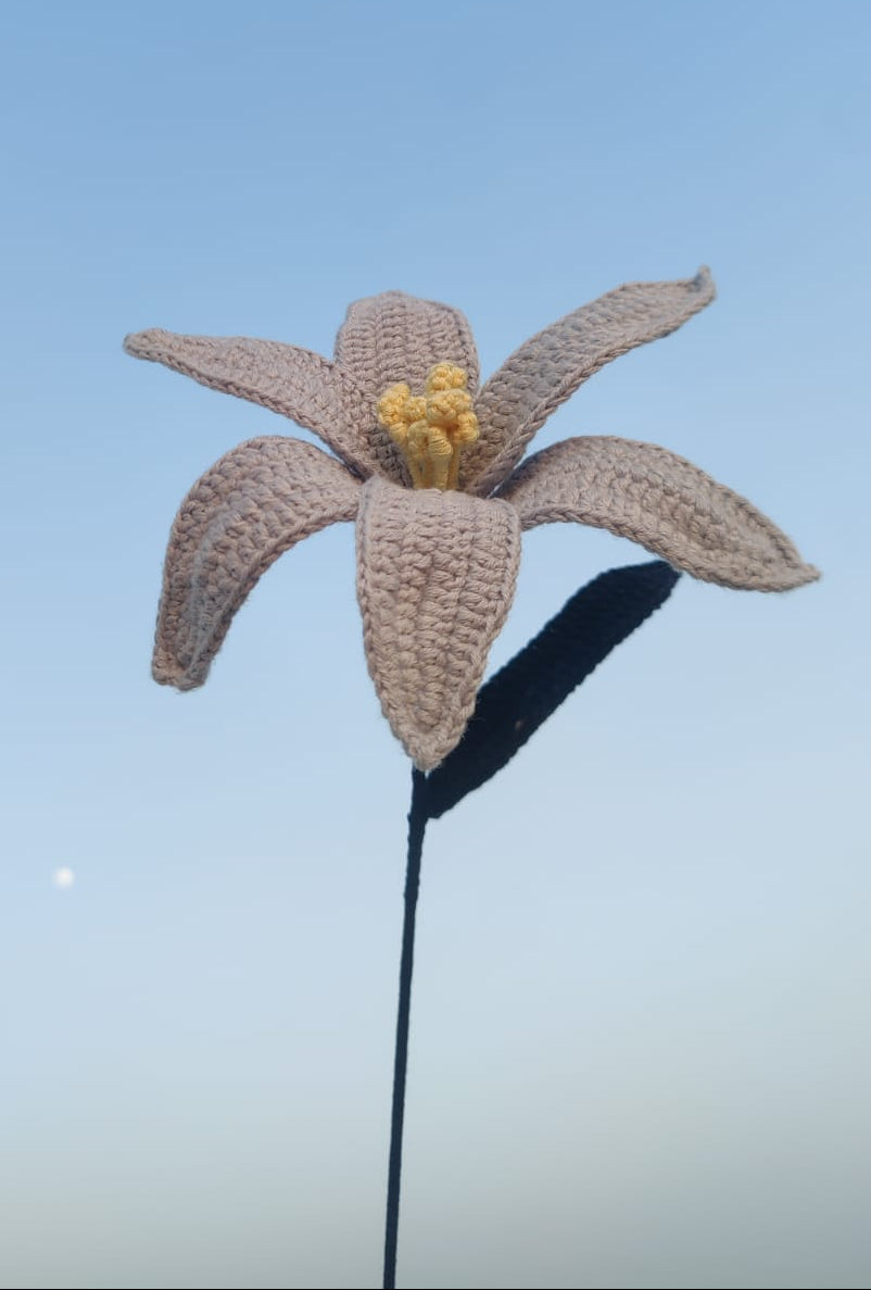 Moonlit Lily
