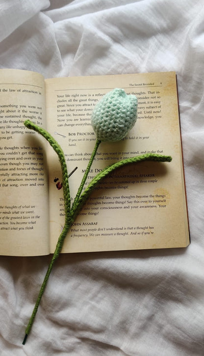 Mint Tulip