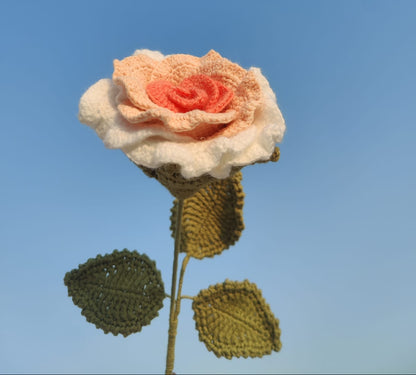 Thai Ombré Rose