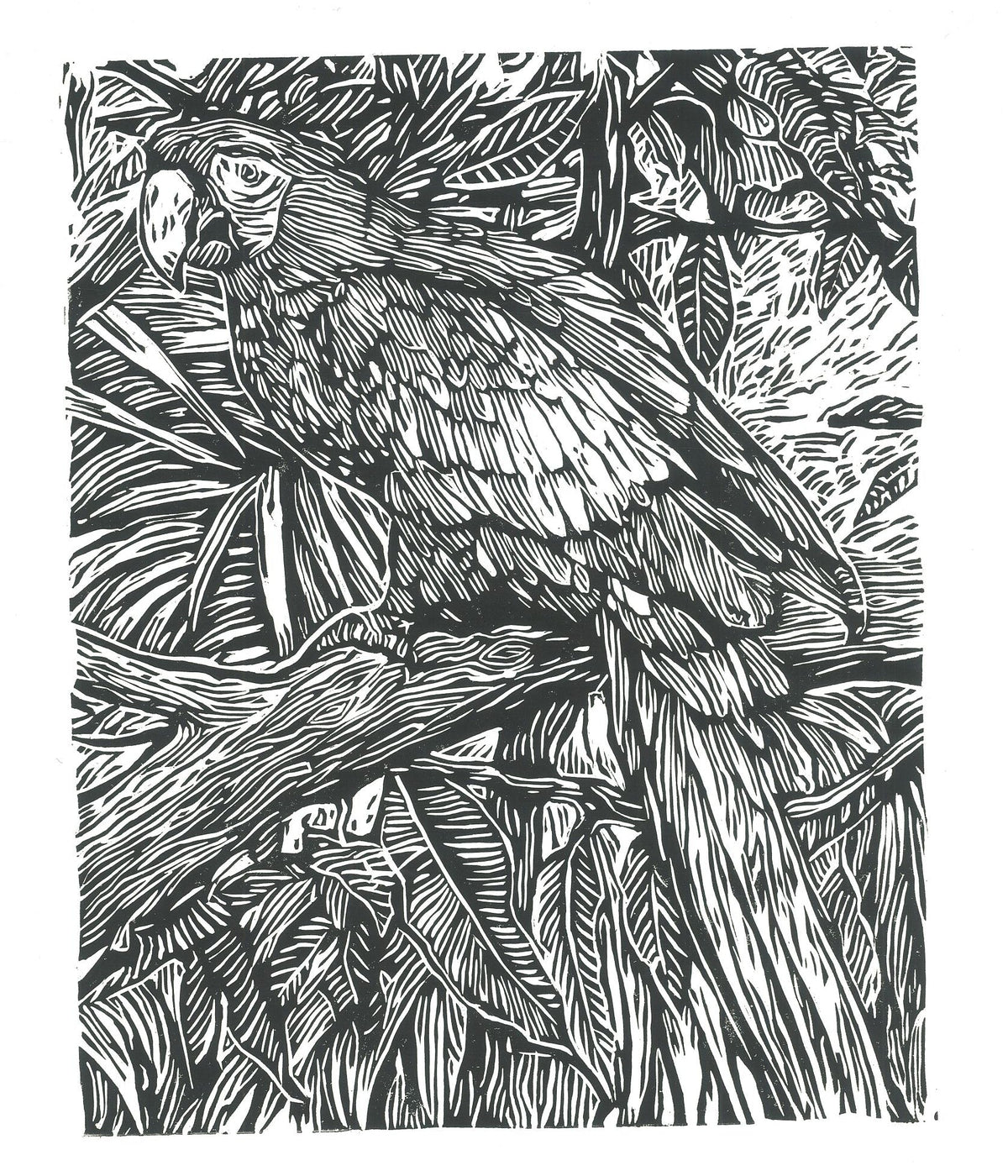 NATURE'S PERCH  | Handmade Linocut Print