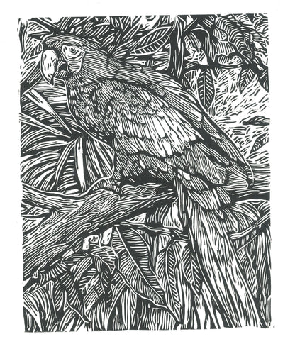 NATURE'S PERCH  | Handmade Linocut Print
